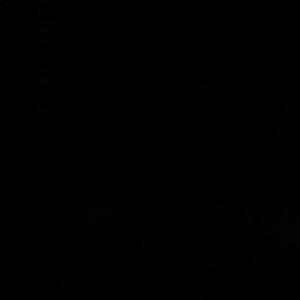 Meet your Posher, Carson